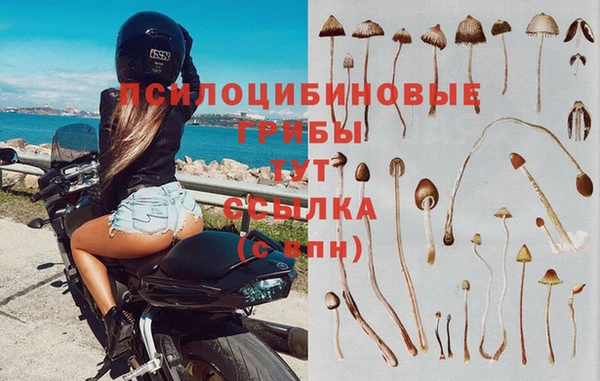 дживик Красноперекопск