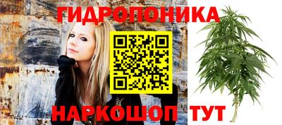 скорость mdpv Дубна