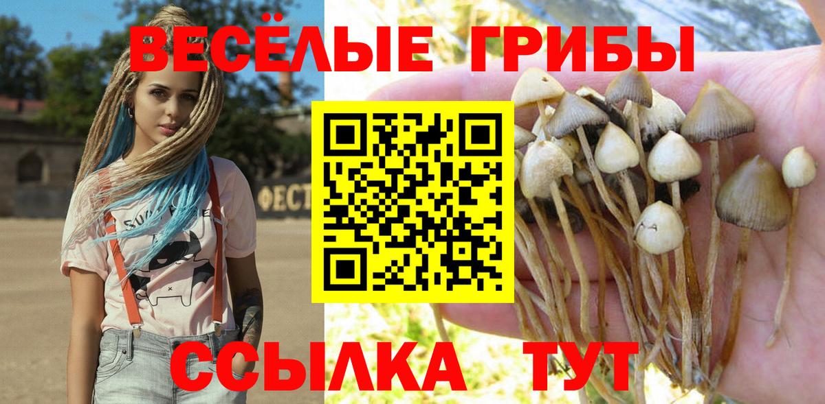 Псилоцибиновые грибы прущие грибы Можайск